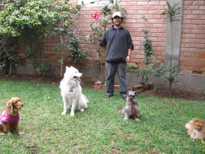 Un poco de obediencia siempre es bueno