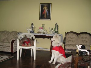 Pipo y Astor en la sala