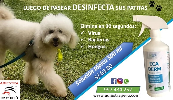 IMG_20200613_223431_498