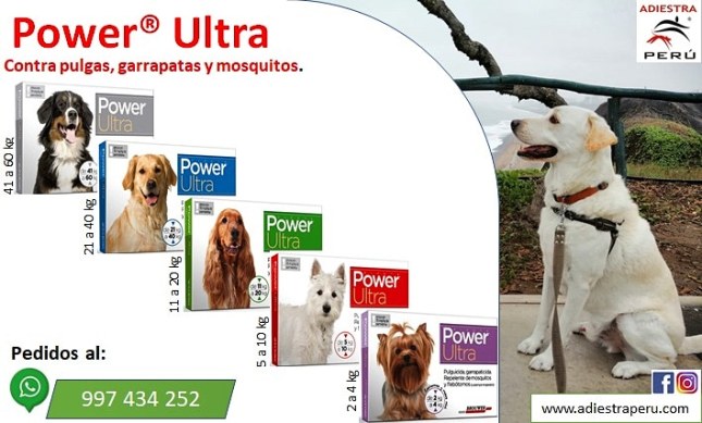 IMG_20200628_081630_959